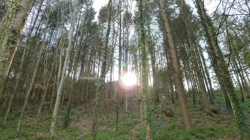 Bulworthy 8.JPG